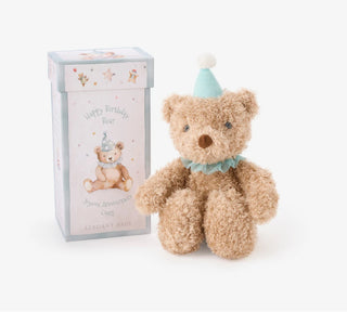 Elegant Baby Aqua Birthday Bear in Gift Box