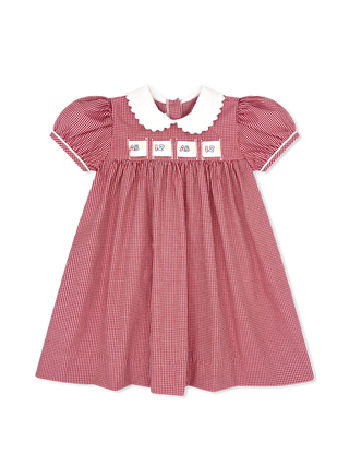 Ruth Ribbon Dress Ridgeland Red Minigingham Dress